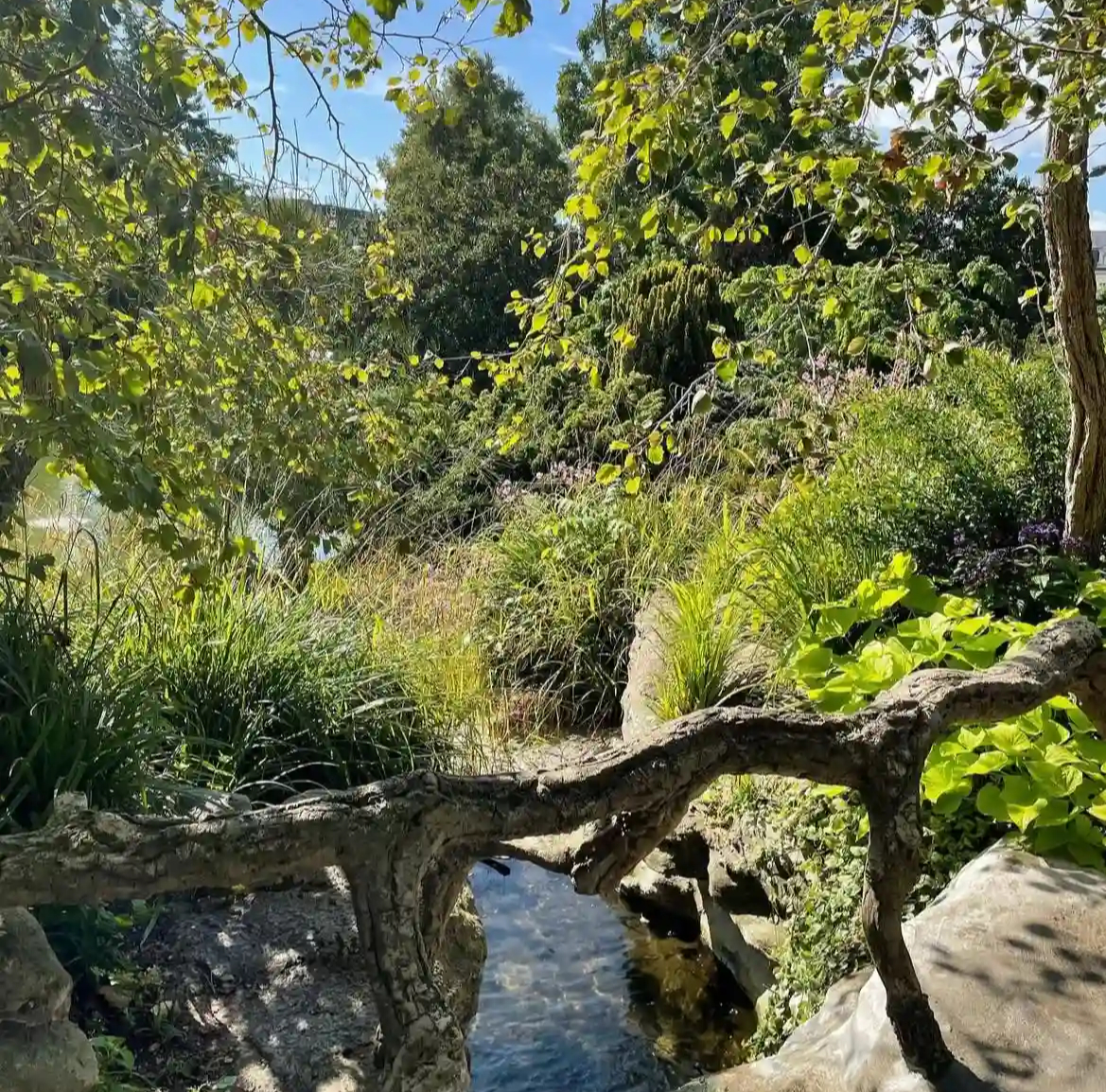 Jardin des plantes à Angers